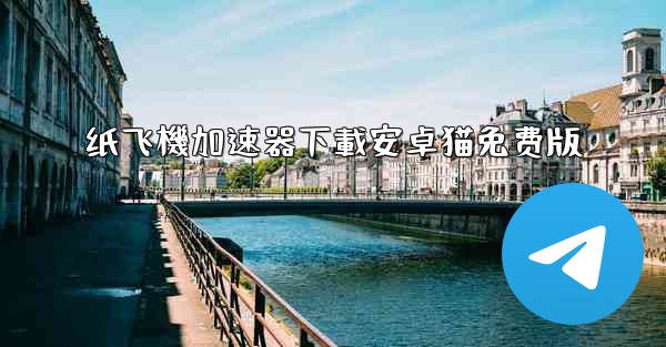 纸飞機加速器下載安卓猫免费版